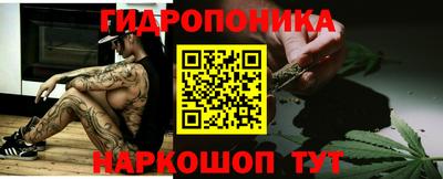 прущая мука Кингисепп