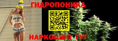 прущая мука Кингисепп